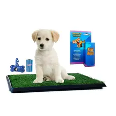 OEM - Baño Portatil Eco Grande Perro Educador Pipi