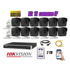 HIKVISION - CAMARAS SEGURIDAD KIT 12 IP POE 1080P EXTERIOR + DISCO 2TB WD PURPURA