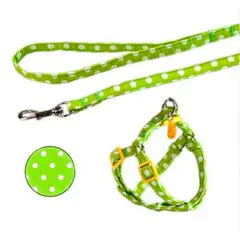 CROCI - Arnés regulable para Mascotas pequeñas Parure - Verde