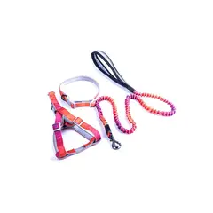 QUE PATAS PET SHOP - Pack de Collar Correa y Arnés Rojo Degradado Talla L