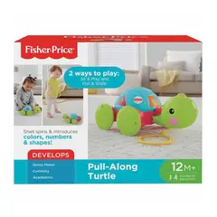 FISHER PRICE - Tortuga de Aprendizaje