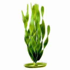 GENERICO - Planta De Plastico JUNGLE VALLISNERIA 12 pulgadas (30.5 cm.) Hagen