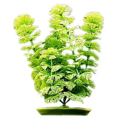 GENERICO - Planta De Plastico AMBULIA 12 pulgadas (30.5 cm.) Hagen