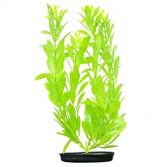 GENERICO - Planta Plastico HIGROPHILA VERDE FOSFORESCENTE 30.5 cm Hagen