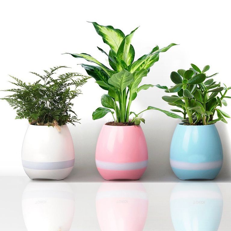 Floreros musicales bluetooth