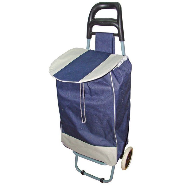 Carrito portátil para mercado y compras