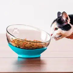 LIBBEY - Plato de Vidrio para Mascotas color Aqua Astro