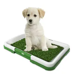 OEM - Bandeja con Grasa de Entrenamiento para Mascotas