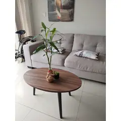 GENERICO - Mesa de centro ovalada marrón