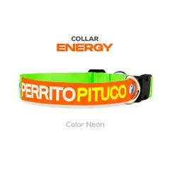 PERRITO PITUCO - COLLAR ENERGY NEÓN TALLA M