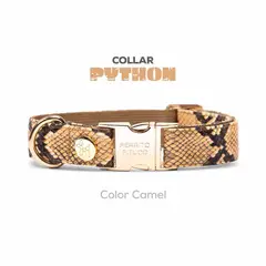 PERRITO PITUCO - COLLAR PYTHON CAMEL TALLA L
