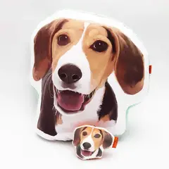 QALA DISEÑO - Pack Almohada y Llavero - - Perro Beagle