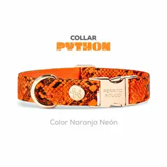PERRITO PITUCO - COLLAR PYTHON NARANJA NEÓN TALLA M