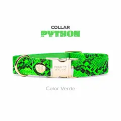 PERRITO PITUCO - COLLAR PYTHON VERDE TALLA L