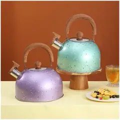 INSPIRA - Tetera de acero con silbador grafito 2 litros