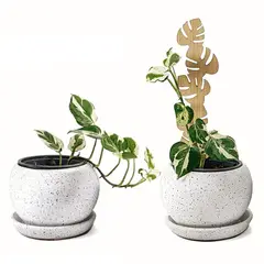 UN CUARTO VERDE - Soporte Hoja para plantas parante tutor de 30cm