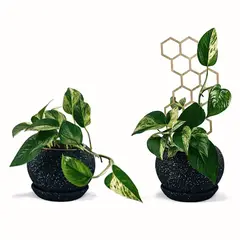 UN CUARTO VERDE - Soporte Panal Ancho para plantas parante tutor de 30cm