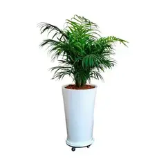 GENERICO - PALMERA HAWAIANA EN MACETA CONO Y RUEDAS