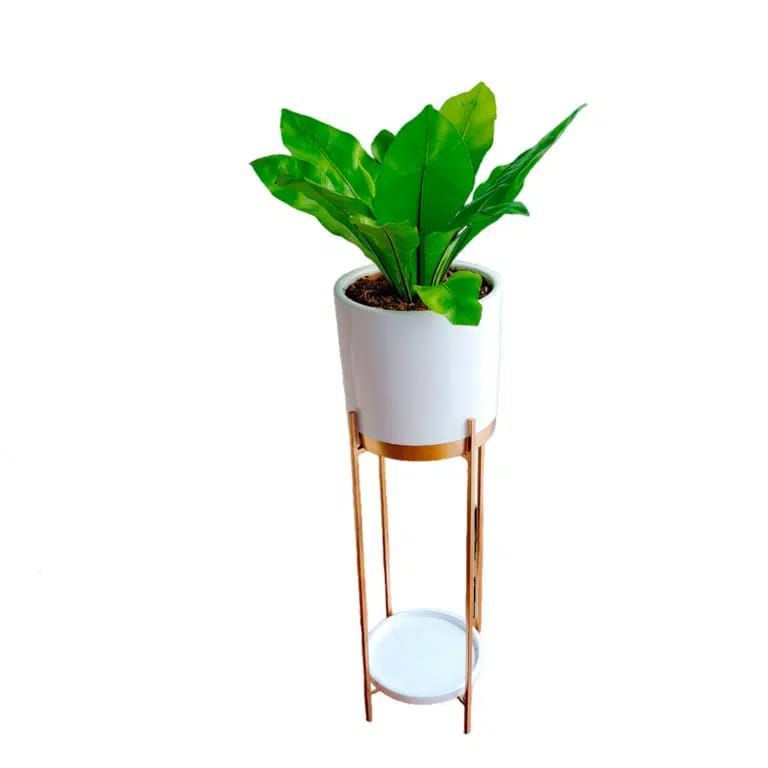 HELECHO ALEMAN EN MACETA BLANCA Y PEDESTAL DE FIERRO