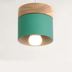 HOME NEAT - Nórdica e27 lámpara colgante de techo moderno hierro y madera Verde