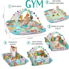 IDEAL - Gimnasio Musical 5 en 1 multifunción G Y M