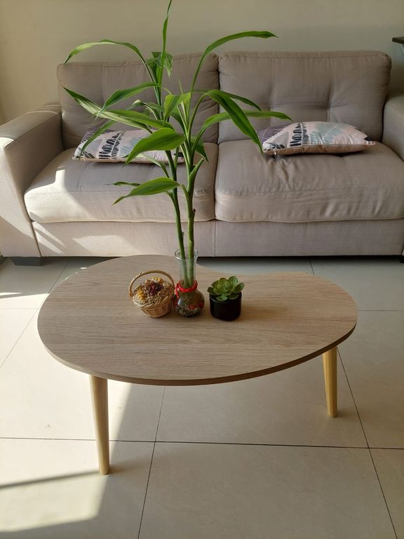 Mesa de centro estilo riñon con patas pino