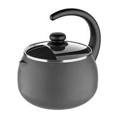 BRINOX - Tetera 2L Con Tapa Especiarias Plata