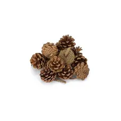 GENERICO - NAVIDAD - Set de 24 pzs piñas artificiales en tono natural