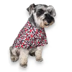 MD - Camisa para Mascotas Gatos y Perros Mickey T-M