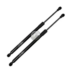 BMW - Amortiguadores de Maletera 116i HB 2004-2008