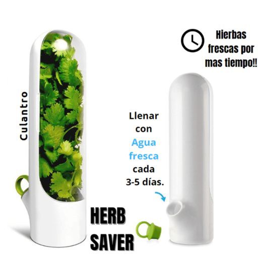 Conservador de hierbas verduras frescas mas tiempo Herb Saver