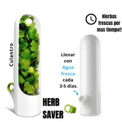 GENERICO - Conservador de hierbas verduras frescas mas tiempo Herb Saver