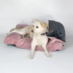 GENERICO - Cama Perro Cloud Rosa XL
