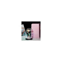GENERICO - Cúpula con Rosa Eterna con Luz LED Regalo San Valentin