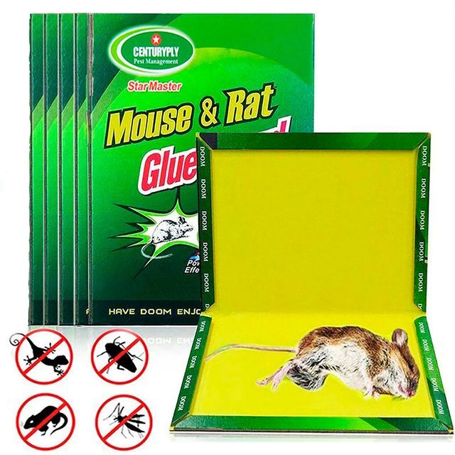 Trampa para ratas capturar ratones y pericotes efectivo pack de 5
