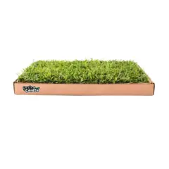 GENERICO - Sanitario de Pasto Natural para Mascotas - Talla M