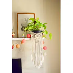 GENERICO - Adorna tu maceta estilo boho