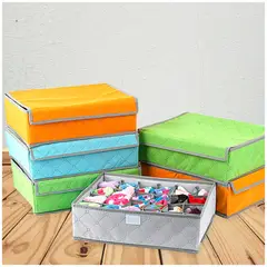 GENERICO - Organizador Ropa Interior 24 Espacios Plegable Color Aleatorio