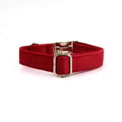 QUE PATAS PET SHOP - Collar para Mascotas Talla L Rojo Ajustable