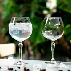 LIBBEY - Copa Spksy Gin Tonic / Vino 580 ml / 19.6 oz. (2 Piezas)