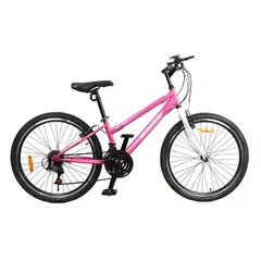 GENERICO - BICICLETA ARO 24 - MONTAÑERA