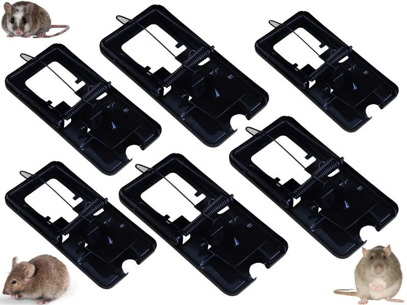 6 Trampas De Metal Para Ratones Rápida Y Efectiva