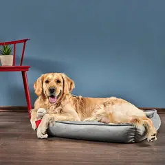 NACIONAL - CAMA PARA PERROS ANTIALÉRGICA TALLA XL PLOMO LAVABLE