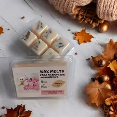 GENERICO - WAX MELTS DE CERA DE SOJA VAINILLA CANELA