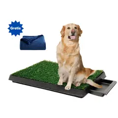 GENERICO - BAÑO GRANDE PARA PERROS + MANTA POLAR