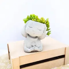 CONKRETE - Maceta de Cemento Aurora + Planta Suculenta modelo aleatorio