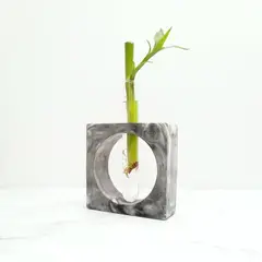CONKRETE - Maceta de Cemento Bambú Flotante + Planta Bambú
