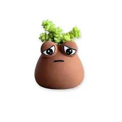 CONKRETE - Maceta de Cemento Pou + Planta Suculenta modelo aleatorio
