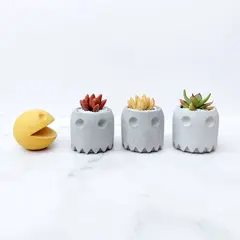 CONKRETE - Pack Macetas de Cemento Pacman Plantas Suculentas aleatorias