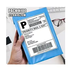 IMPORTADO MC - Bolsas Adhesivo Mensajeria Encomienda Envios 100unds 15X23CM